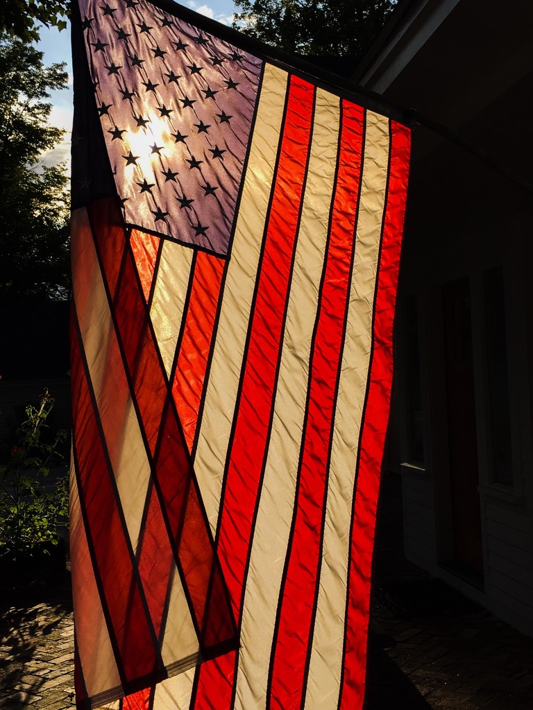 Stars and Stripes  by clay88