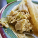 Tamale for lunch by houser934
