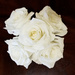 White Roses  by houser934