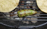 25th Aug 2019 - Grilled Jalepeno Pepper