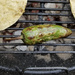 Grilled Jalepeno Pepper by houser934