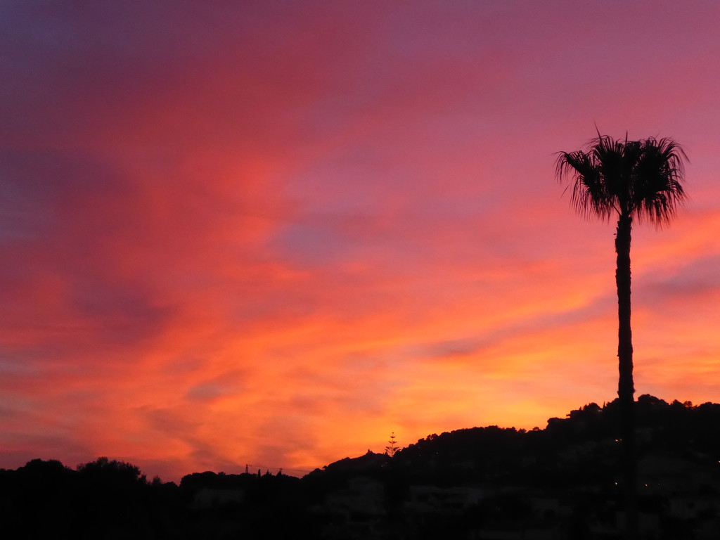 View from our roof this evening.  by chimfa