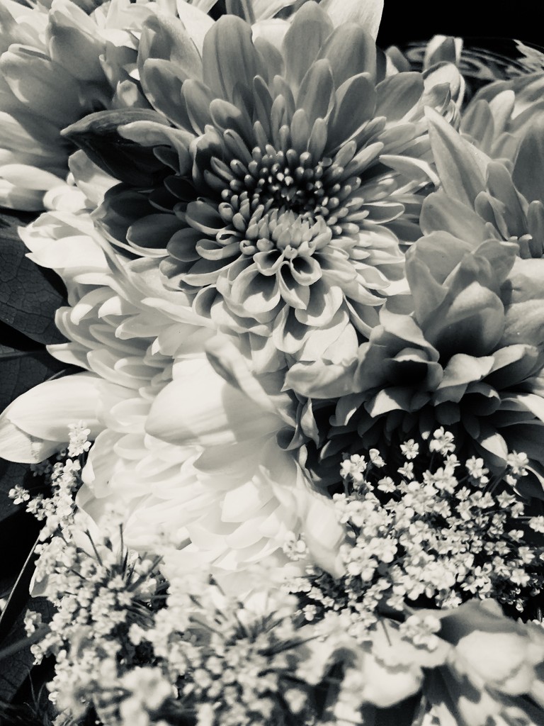 Bouquet by kdrinkie