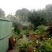 Torrential Rain by davemockford