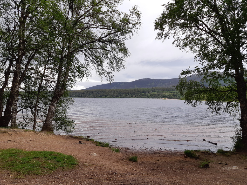 7th July Loch Morlich by valpetersen