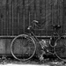 abandoned bike by caterina