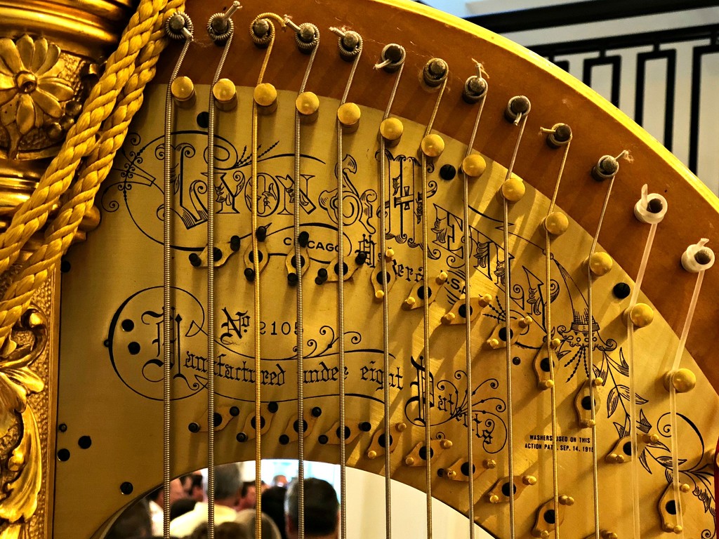 An Angel's Harp by gardenfolk
