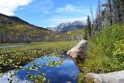 24th Sep 2019 - Cub Lake RMNP