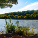 Fall Colors just starting to creep in at the reservoir.   by batfish
