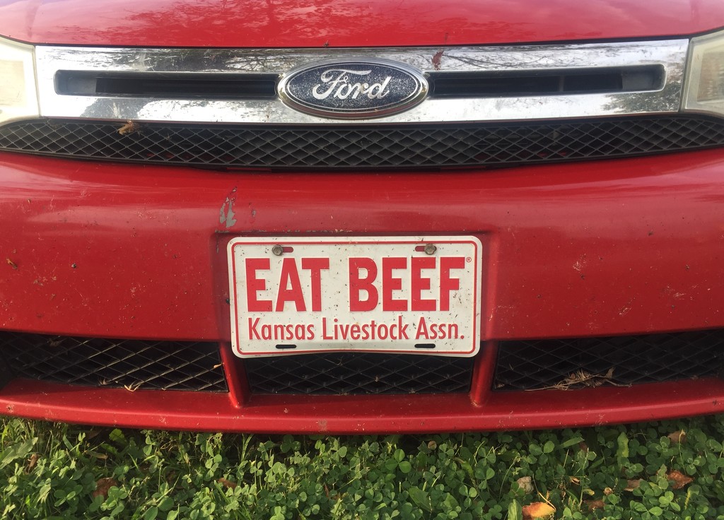 Eat Beef by mcsiegle