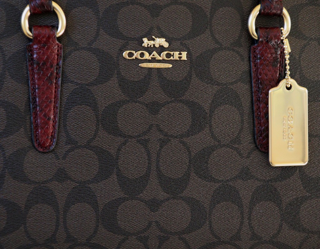 Day 268:  New Coach Bag by sheilalorson