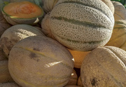 14th Sep 2019 - Melons