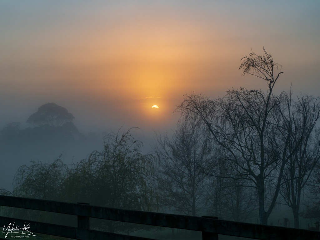 Misty sunrise by yorkshirekiwi