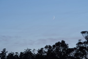 26th Sep 2019 - Mornings Moon ~ 5.50am