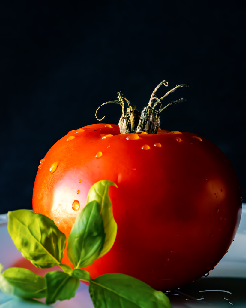 tomato and basil by jernst1779