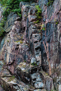 25th Sep 2019 - Canadian Shield