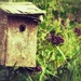 Birdhouse edit by amyk