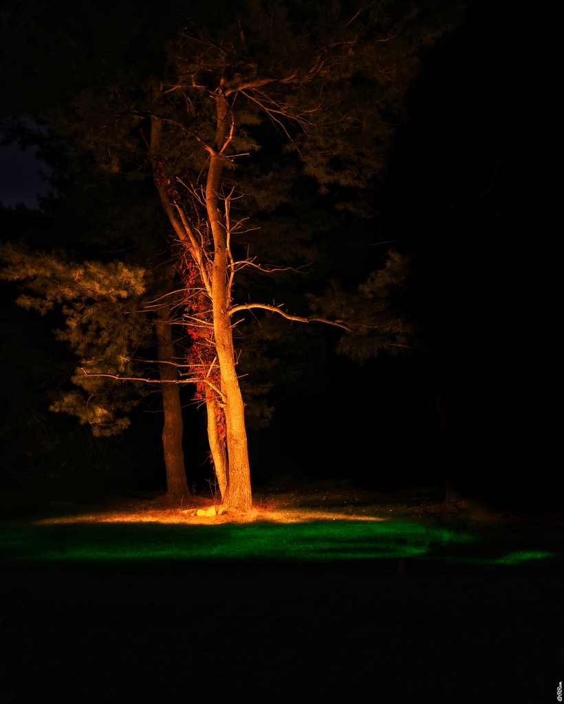 Light Painting by ramr