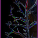 color tree  ( Better on black) by sdutoit