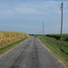 Country Roads - NF-SOOC by lsquared