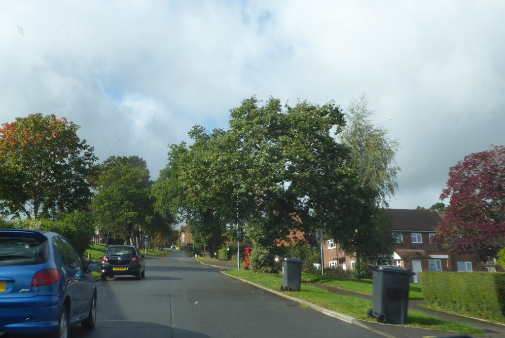 A suburban street in an older part of town by speedwell