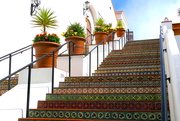 27th Sep 2019 - The "Spanish Steps" of Santa Barbara