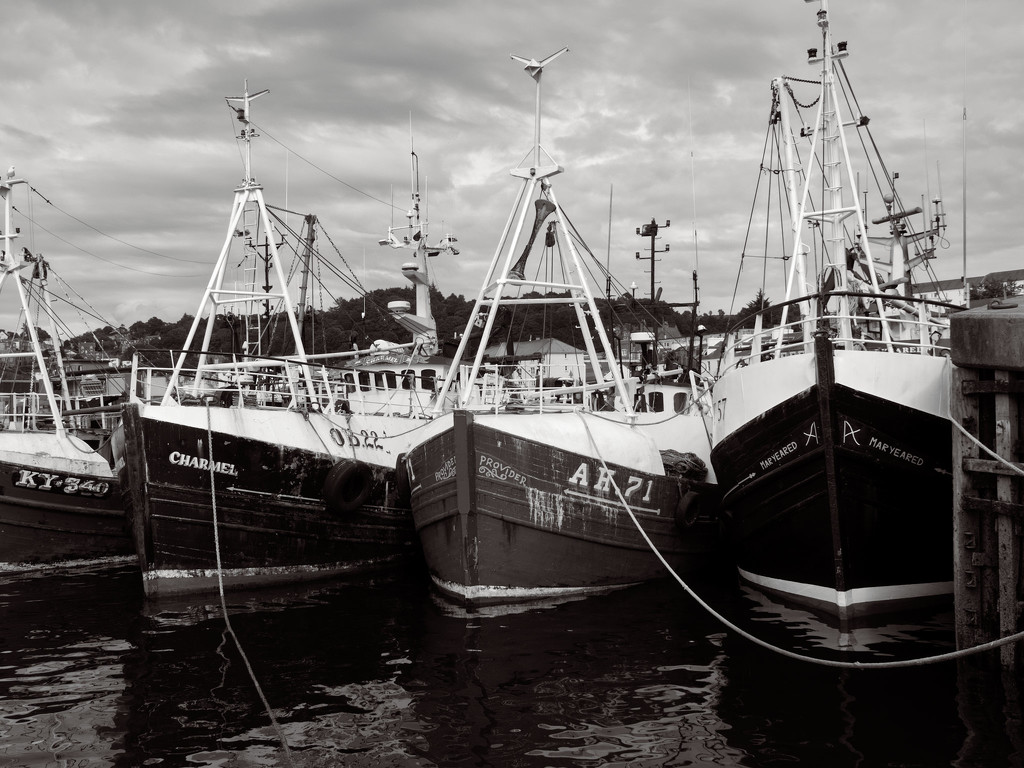 Fishing Boats - Oban by jamesleonard