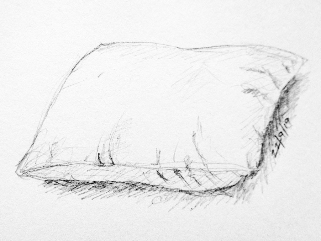 Pillow by harveyzone