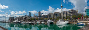 29th Sep 2019 - Viaduct Harbour