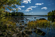 27th Sep 2019 - Shubie walking trail 