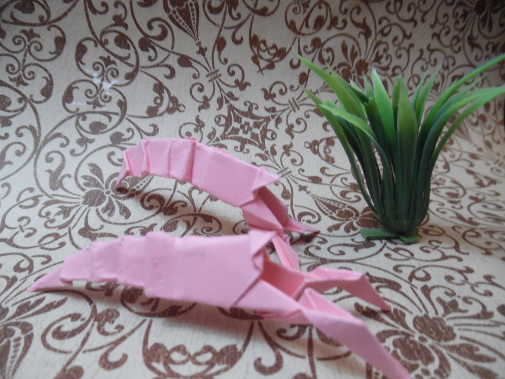 Origami: Shrimp by jnadonza