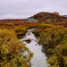 Autumn on Saltfjellet by elisasaeter