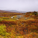 Autumn on Saltfjellet 2 by elisasaeter