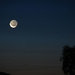 Tonights Moon #1 ~ 7.21pm ~ BOB by kgolab