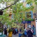 Neal's Yard by cmp