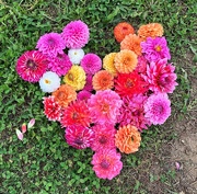 1st Oct 2019 - Heart of flowers. 
