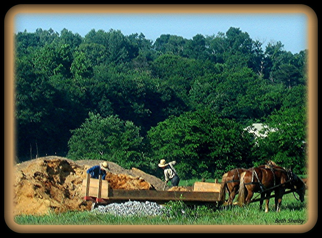 Amish Farmers by vernabeth