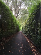 1st Oct 2019 - Bowling Green Alley