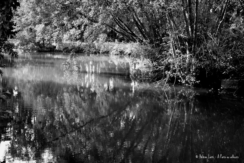 pond by parisouailleurs