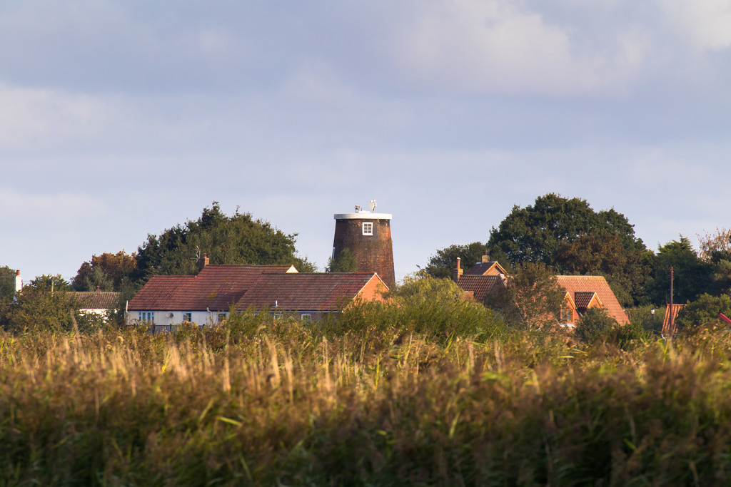 Norfolk Broads Scene #1 by peadar