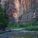 LHG_5882 Along the Riverside trail at Zion by rontu