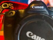 1st Oct 2019 - Canon mini EOS 6D