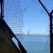 Alcatraz by kjarn