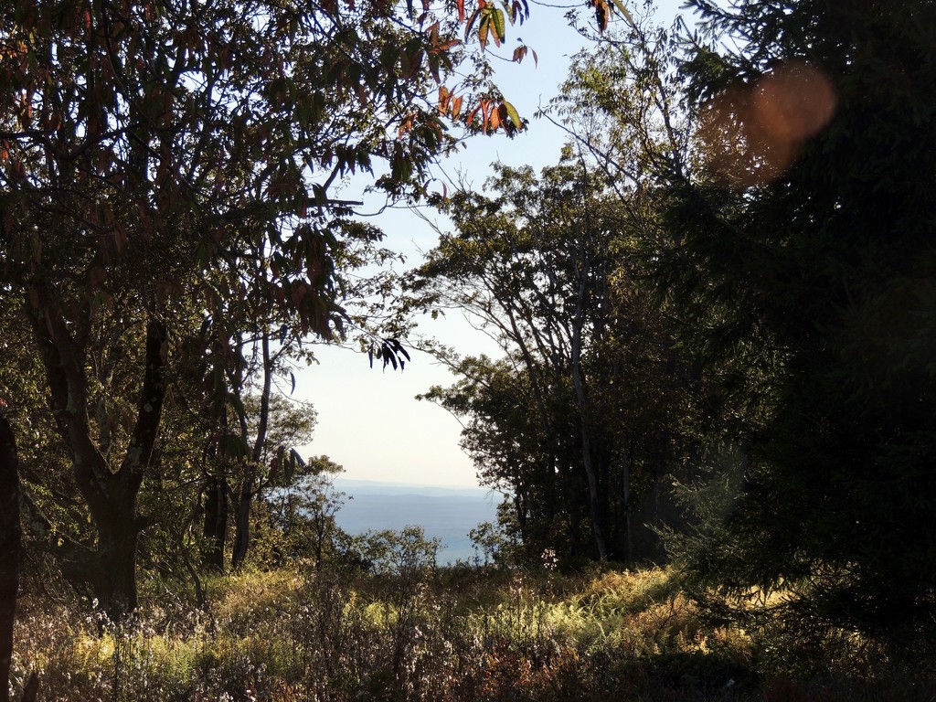 The view from Mt Pocono by dianezelia