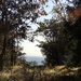The view from Mt Pocono by dianezelia