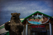2nd Oct 2019 - Rare Grizzly sighting 