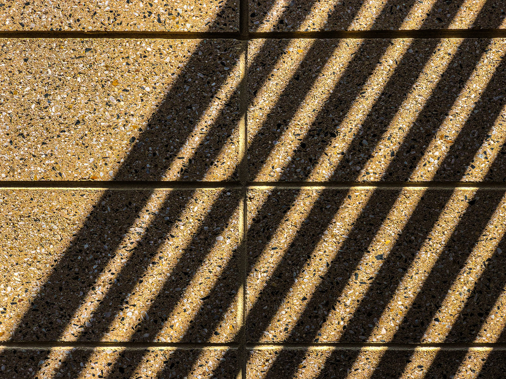 Lines and Shadows  by jbritt
