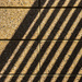 Lines and Shadows  by jbritt