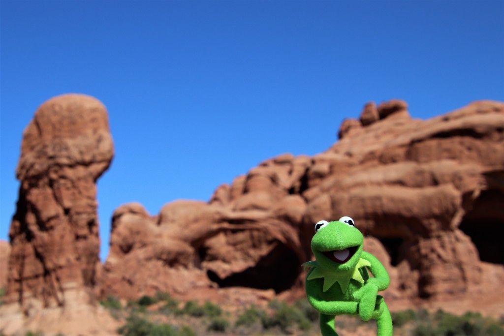 Kermit visits Arches by edorreandresen