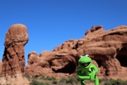 2nd Oct 2019 - Kermit visits Arches
